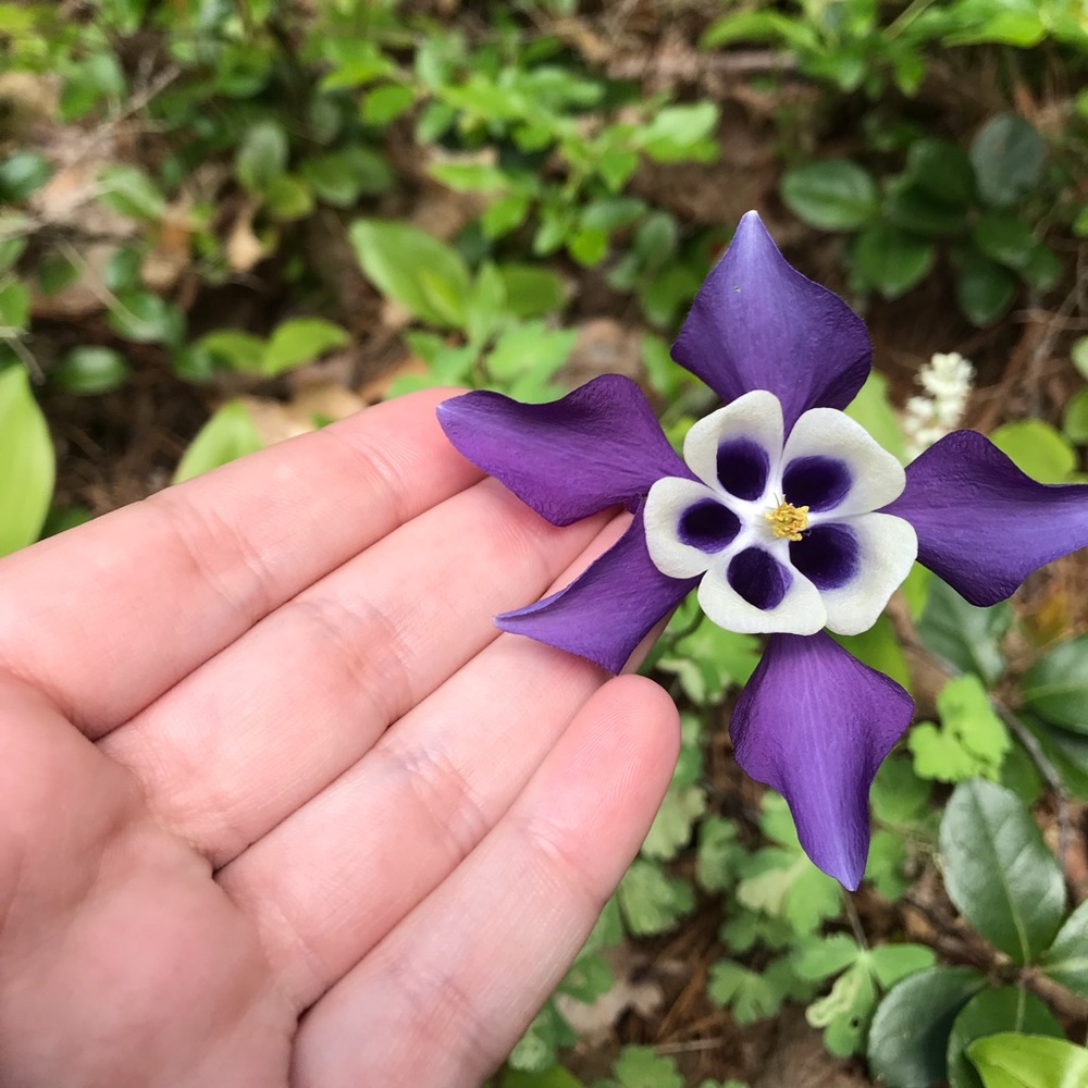 Meet your Posher, Brianna